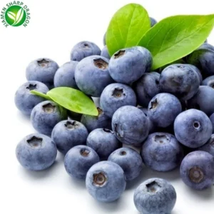est Organic Wild Blueberry Unsweetened Bulk Flash Freezing Fresh Picked blueberries Compliments Wholesale Price