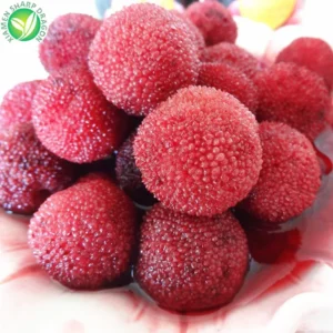 Healthy Canned Red Bayberry