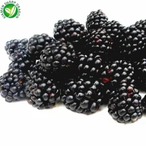 Bulk fruit cheap prices frozen blackberries